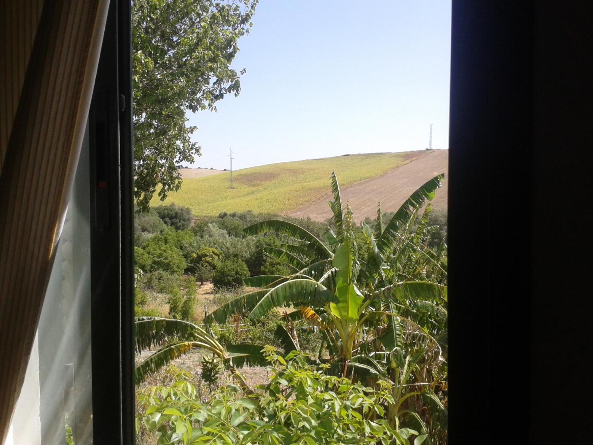 Casa Rural El Cubillo Vejer de la Frontera Kültér fotó