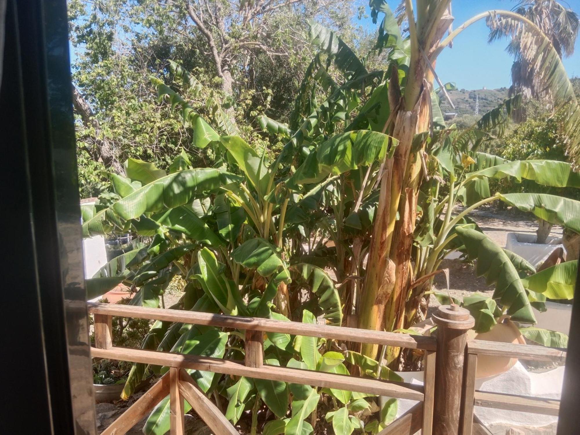 Casa Rural El Cubillo Vejer de la Frontera Kültér fotó